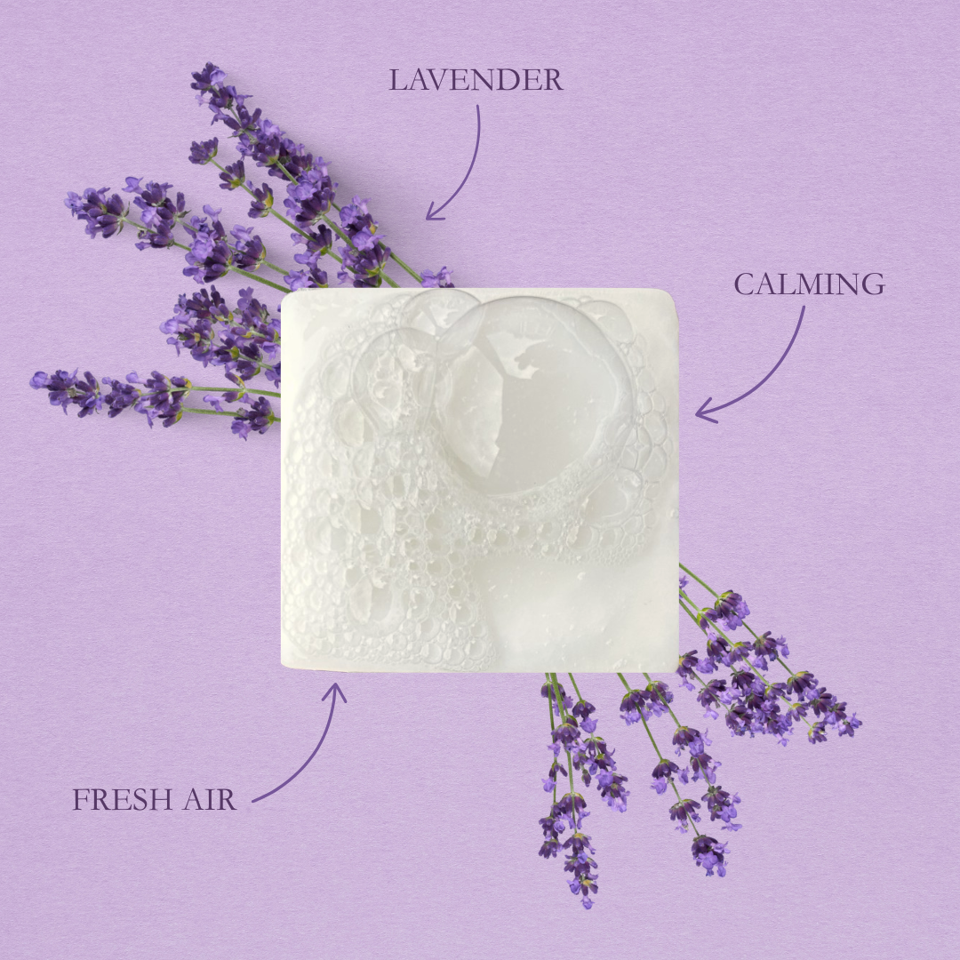 Home On The Range Tallow Bar Soap